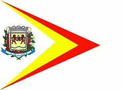 Bandeira de Fernandópolis, SP